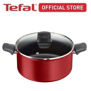 tefal-chef-delight-stewpot-24cm-w-lid-c69846