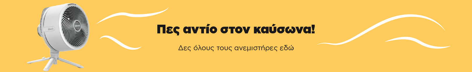 summer-banner-anemistires summer-banner-anemistires